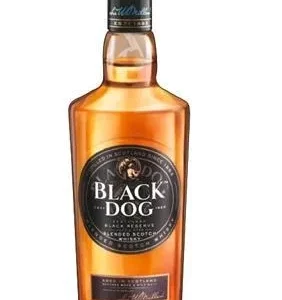 Black Dog